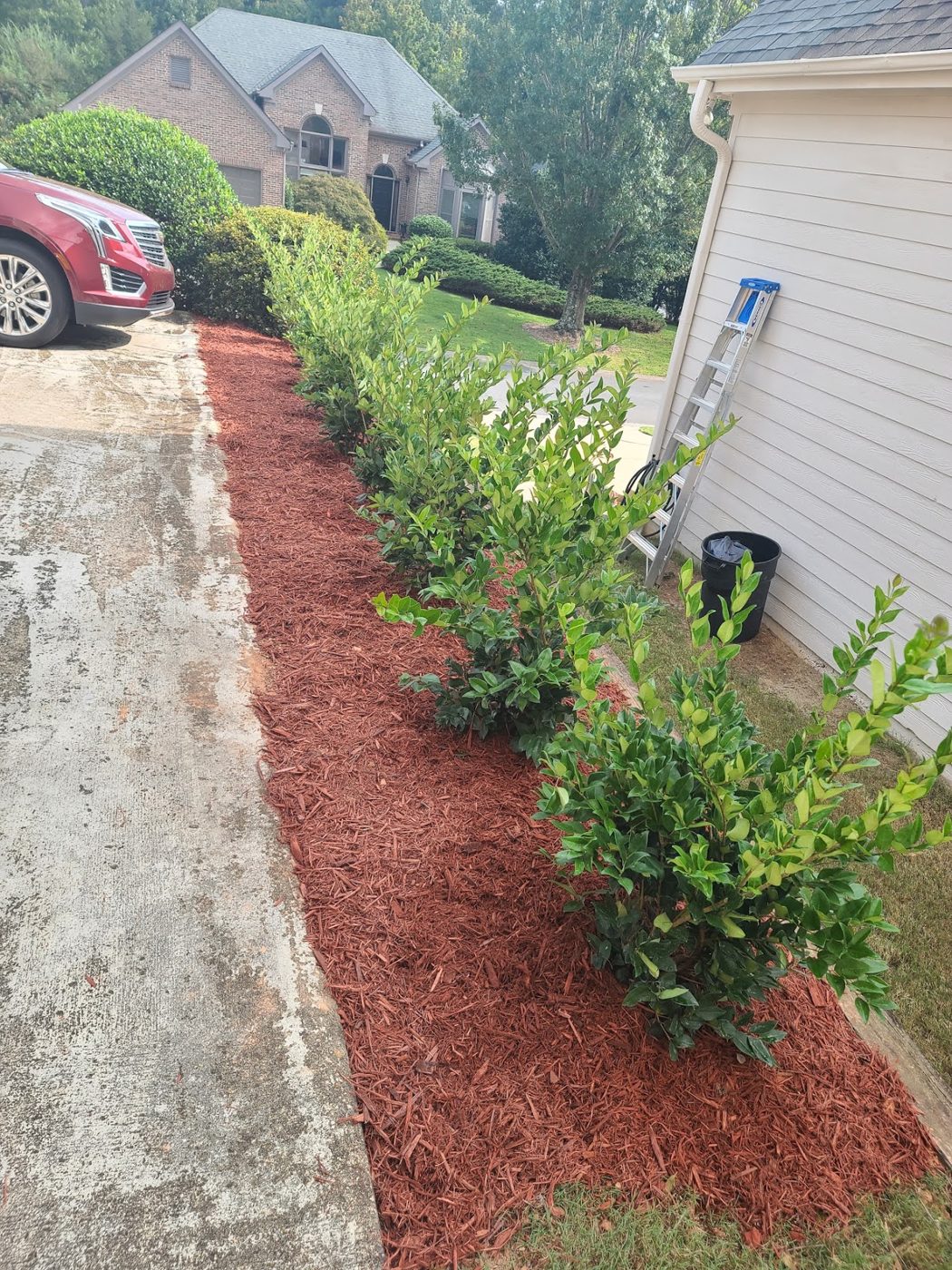 Fresh mulch along a side yard